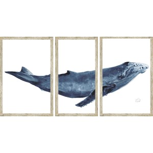 KS- WHALE 5 TRIPTYCH